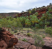 Palm Valley and Hermannsburg 1 Day 4WD Tour - Tourism Canberra