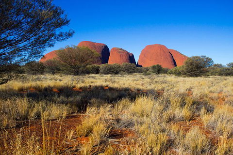 Kata Tjuta Sunrise And Valley Of The Winds Half-Day Trip - Tourism Canberra 11