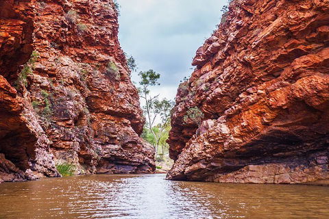 Uluru (Ayers Rock) To Alice Springs One-Way Shuttle - Tourism Canberra 9