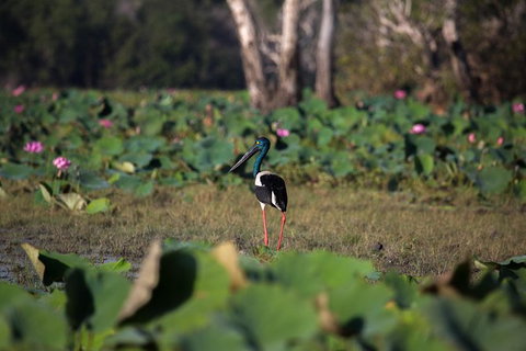 2:30pm Safari Cruise (1.5 Hours) - Tourism Canberra 1