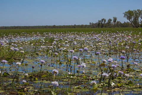 2:30pm Safari Cruise (1.5 Hours) - Tourism Canberra 0