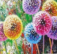 Dandelions - Six Tanks 3.00-5.00pm - Tourism Canberra