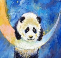 Panda Moon - Six Tanks 7.00-9.00pm - Tourism Canberra