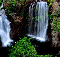 Litchfield Dreams 1 Day National Park Waterfall Swimming  Jumping Croc Cruise - Tourism Canberra