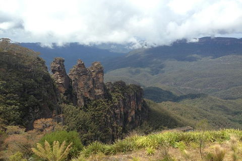 All-Inclusive Blue Mountains Tour In A Luxury Mercedes Sprinter - Tourism Canberra 11