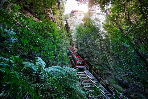 All-Inclusive Blue Mountains Tour In A Luxury Mercedes Sprinter - Tourism Canberra 3