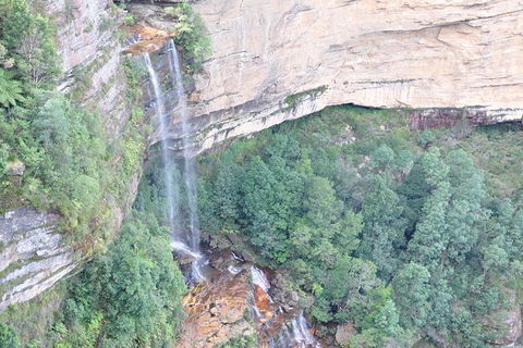 All-Inclusive Blue Mountains Tour In A Luxury Mercedes Sprinter - Tourism Canberra 17