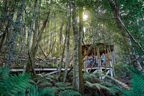 All-Inclusive Blue Mountains Tour In A Luxury Mercedes Sprinter - Tourism Canberra 19