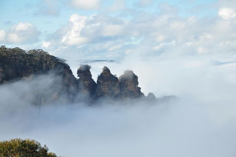 All-Inclusive Blue Mountains Tour In A Luxury Mercedes Sprinter - Tourism Canberra 15
