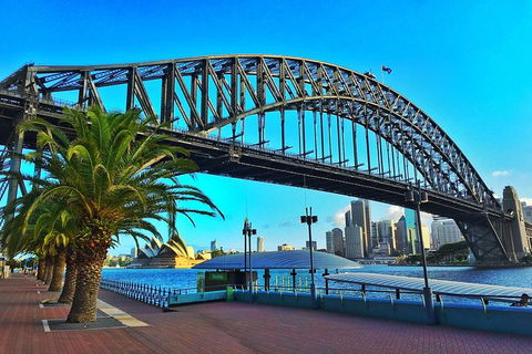 Half Day In Sydney With A Local: Private & Personalized - Tourism Canberra 10