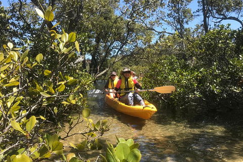 Paddle In Paradise - 4 Hours Double Kayak Hire - Tourism Canberra 5