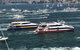 Australia Day Sydney Harbour Cruise - thumb 0