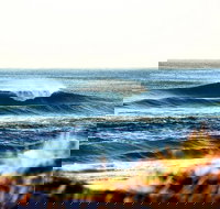 7-Day Byron Bay Evans Head and Moonee Beach Surf Safari from Brisbane Gold Coast or Byron Bay - Tourism Canberra