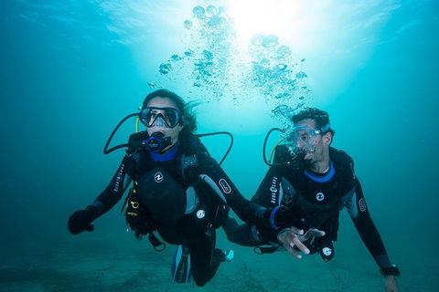 Try Scuba Diving Experience: Sydney - Tourism Canberra 1
