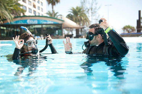 Try Scuba Diving Experience: Sydney - Tourism Canberra 2