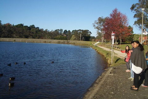 All-Day Blue Mountains Private Tour With Professional Guide For Up To 4 People - Tourism Canberra 24