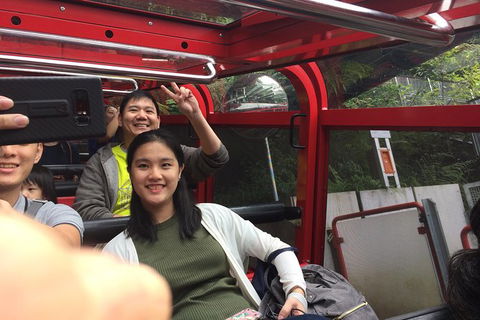 All-Day Blue Mountains Private Tour With Professional Guide For Up To 4 People - Tourism Canberra 15