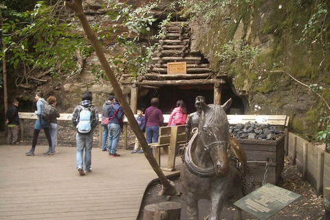 All-Day Blue Mountains Private Tour With Professional Guide For Up To 4 People - Tourism Canberra 9