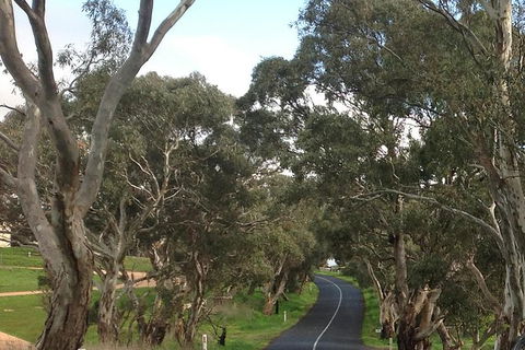 All-Day Blue Mountains Private Tour With Professional Guide For Up To 4 People - Tourism Canberra 22