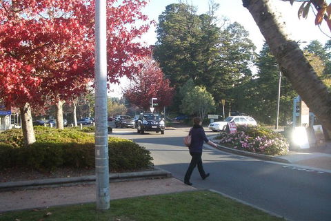 All-Day Blue Mountains Private Tour With Professional Guide For Up To 4 People - Tourism Canberra 12
