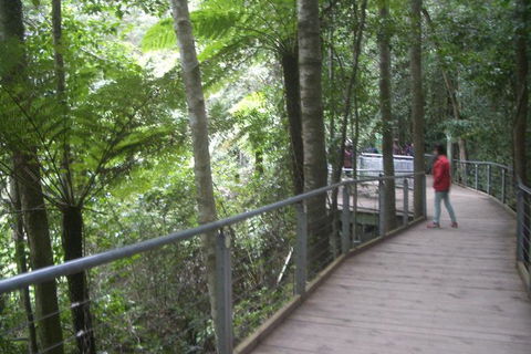 All-Day Blue Mountains Private Tour With Professional Guide For Up To 4 People - Tourism Canberra 20
