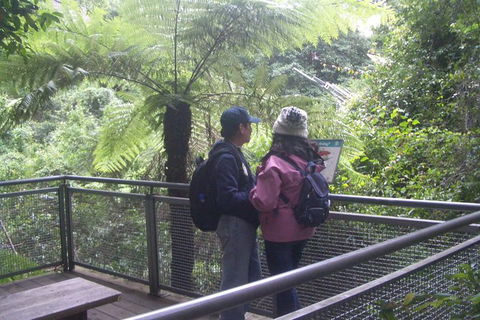 All-Day Blue Mountains Private Tour With Professional Guide For Up To 4 People - Tourism Canberra 19
