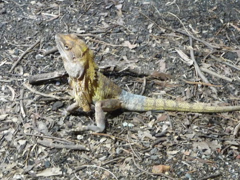 WILD LIFE Sydney Entrance Ticket - Tourism Canberra 9
