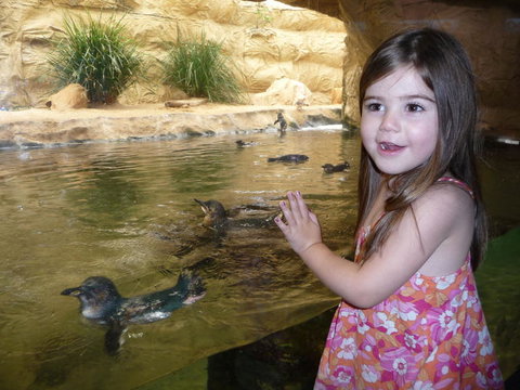 WILD LIFE Sydney Entrance Ticket - Tourism Canberra 2