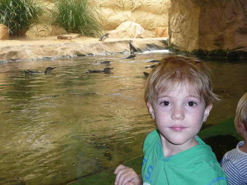 WILD LIFE Sydney Entrance Ticket - Tourism Canberra 5