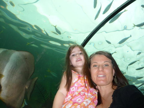 WILD LIFE Sydney Entrance Ticket - Tourism Canberra 4