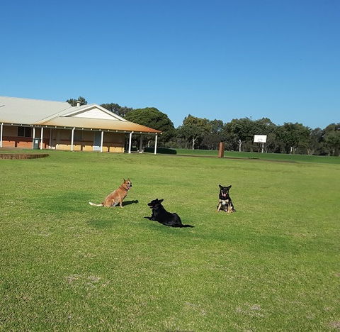Meet The Animals - Tourism Canberra 3