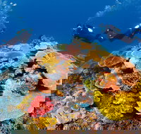 Agincourt Reef - Tourism Canberra