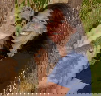 Billabong Sanctuary - Tourism Canberra