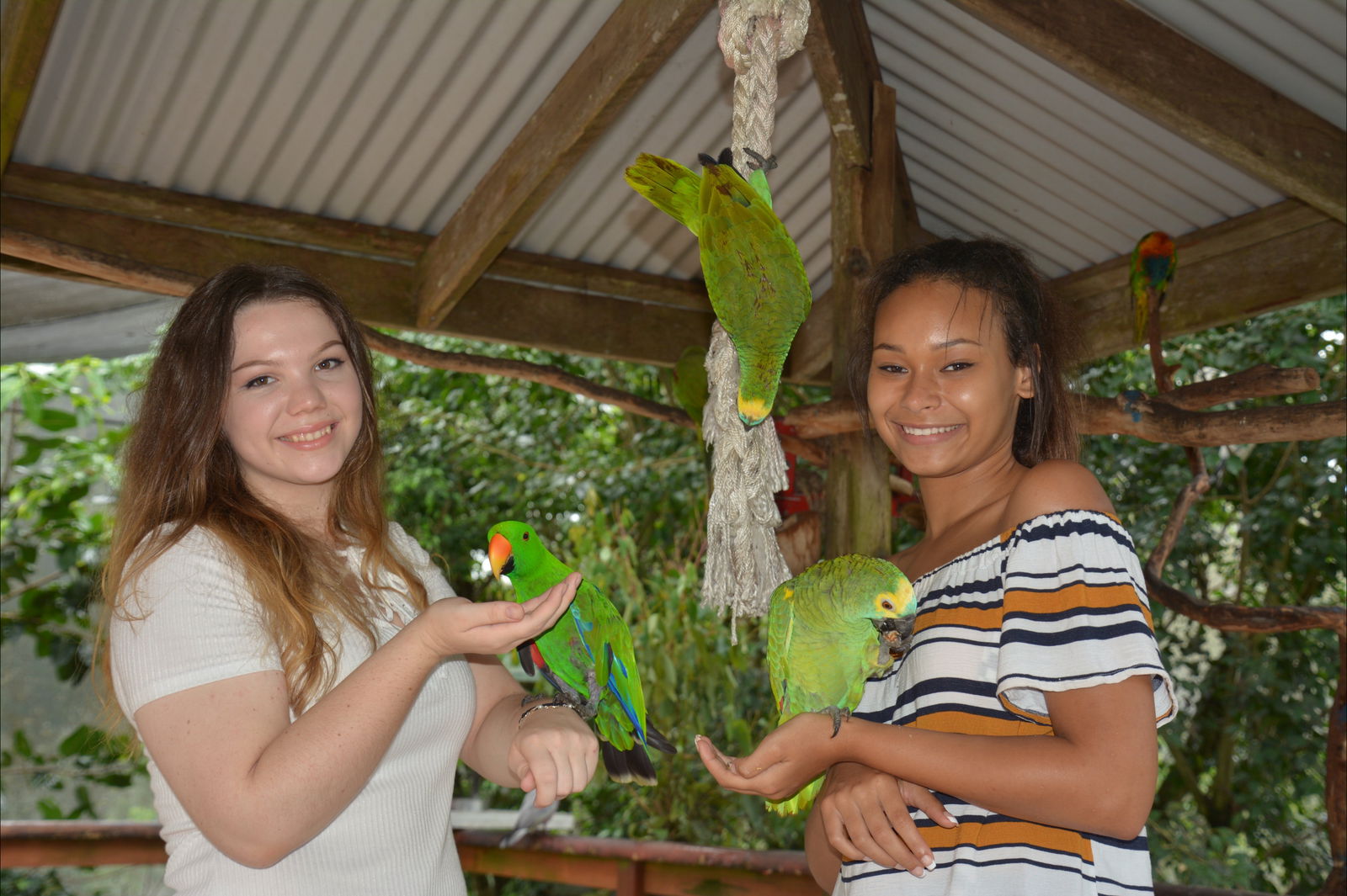 Zoos Kuranda QLD Tourism Canberra