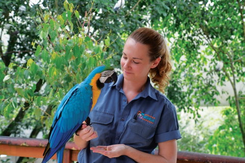 Birdworld Kuranda - Tourism Canberra 1