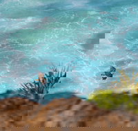 Birdwatching on the Fraser Coast - Tourism Canberra