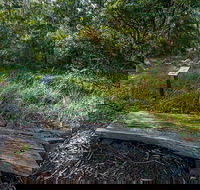 Browns Forest Loop Trail - Tourism Canberra