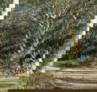 Bundanoon cycling route - Tourism Canberra