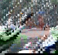 Buxton Trout and Salmon Farm - Tourism Canberra