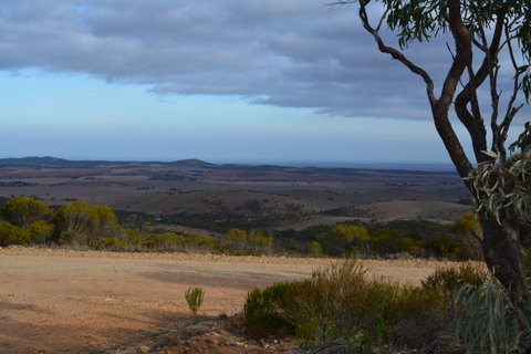Cleve Hills Scenic Drive & Lookout - Tourism Canberra 1