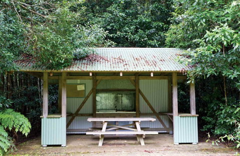 Coachwood Picnic Area - Tourism Canberra 0