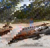 Crooked Brook Forest - Tourism Canberra