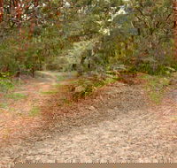 Daleys Point Walking Track - Tourism Canberra