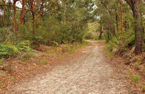 Daleys Point Walking Track - Tourism Canberra 0