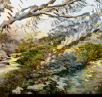 Dead Horse Gap walking track - Tourism Canberra