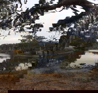Duck Lagoon - Tourism Canberra
