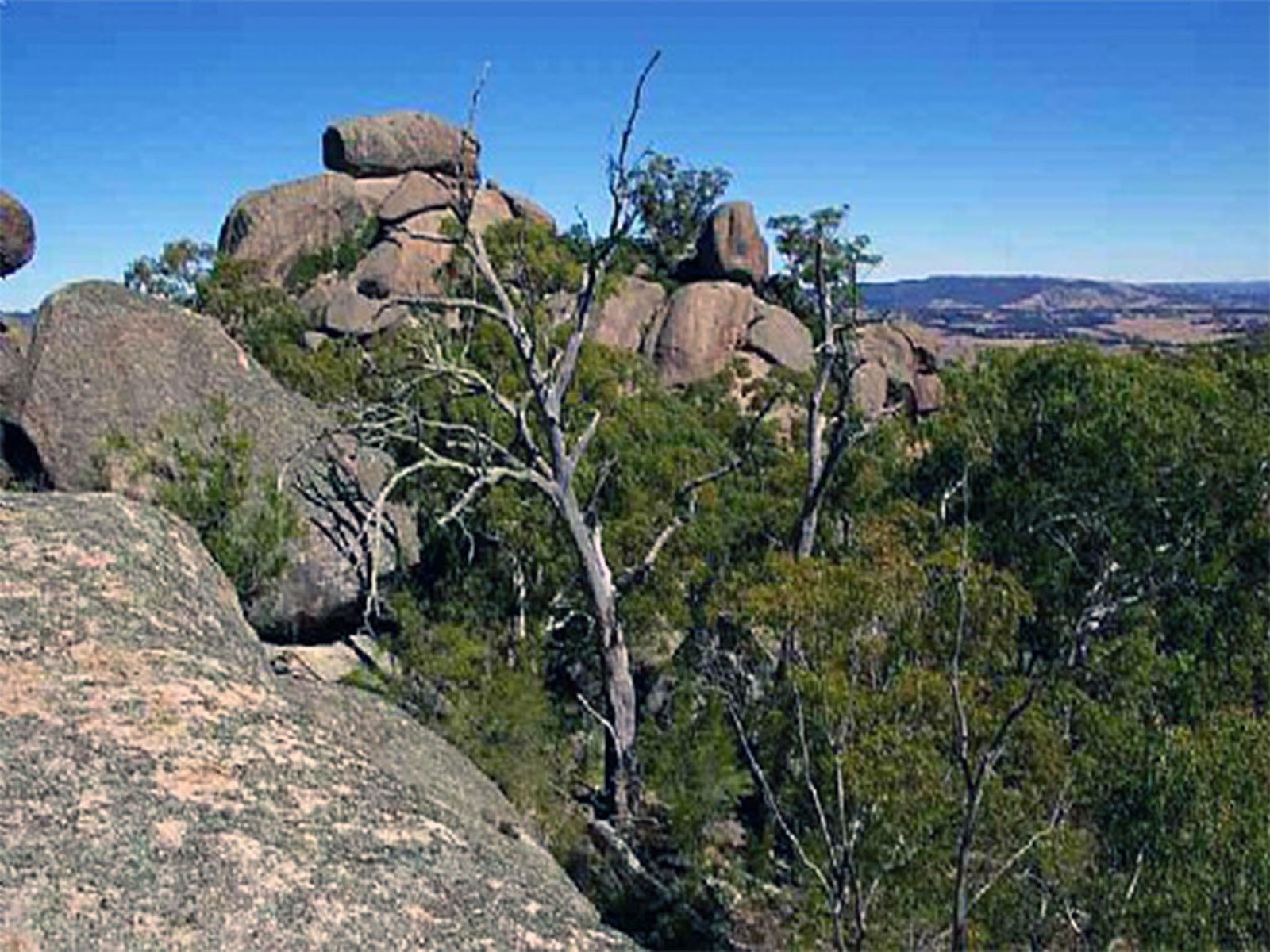 Tarana NSW Tourism Canberra