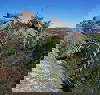 Evans Crown Nature Reserve - Tourism Canberra