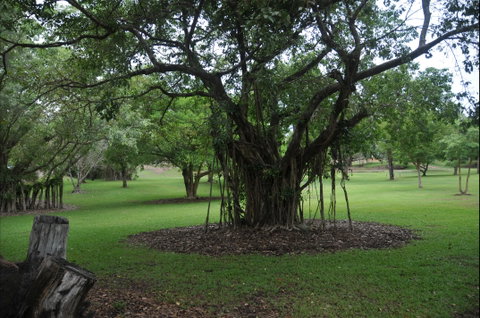 Frog Hollow - Tourism Canberra 1