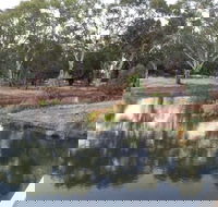 Green Corridor Walking Track - Tourism Canberra